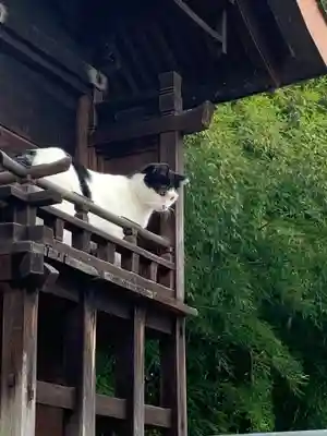 明竹稲荷宮　腰神不動神社の動物