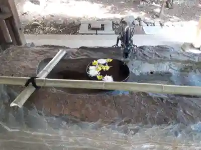 琴似神社の手水舎