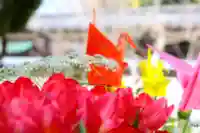 三津厳島神社の手水舎