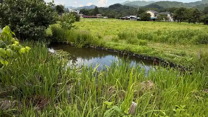 常泉寺(埼玉県)