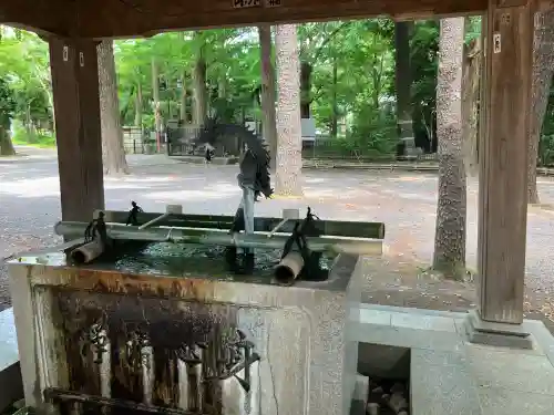 泉龍寺(東京都)