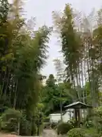 正蔵院(神奈川県)