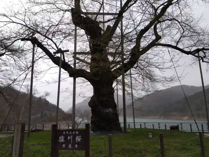 御母衣電源神社(岐阜県)