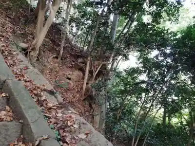 顕國魂神社の自然
