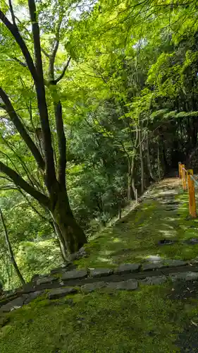 善峯寺(京都府)