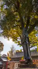 護王神社(京都府)