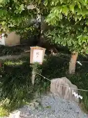 源九郎稲荷神社の建物その他