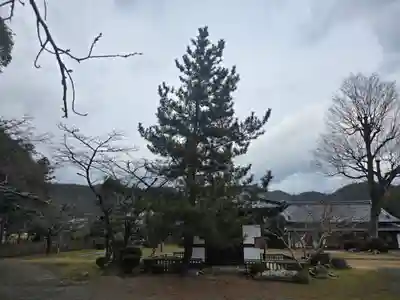 大覚寺(京都府)