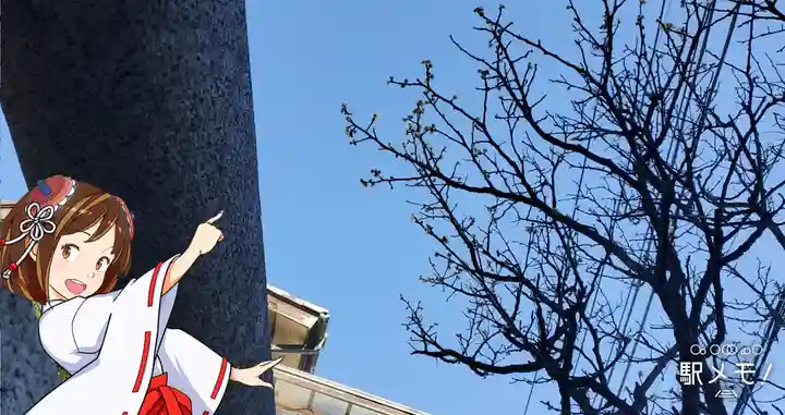 大六天神社の自然