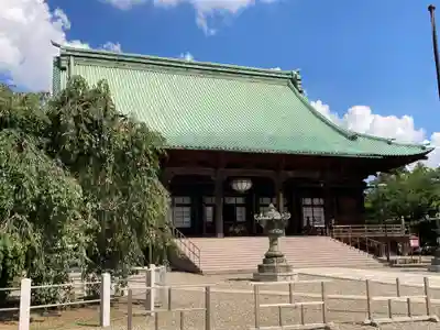 護国寺の本殿・本堂