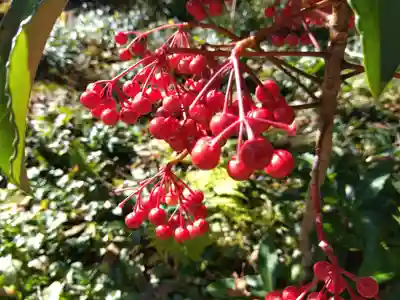 三千院門跡(京都府)