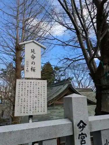 函館八幡宮の自然