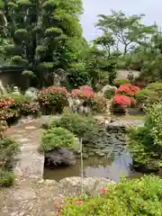 常福寺の庭園