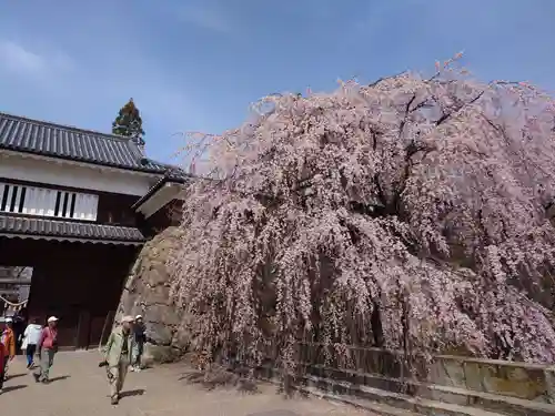 眞田神社(長野県)