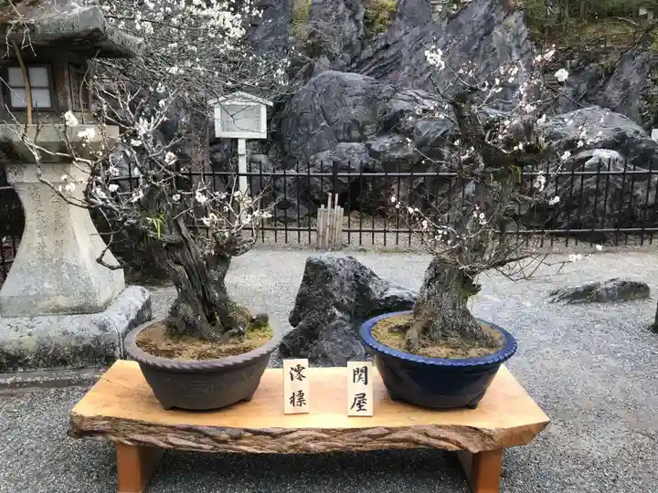 石山寺の芸術
