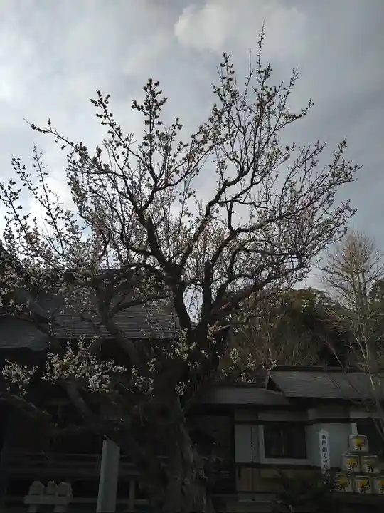 大洗磯前神社(茨城県)