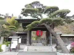 長谷寺(神奈川県)