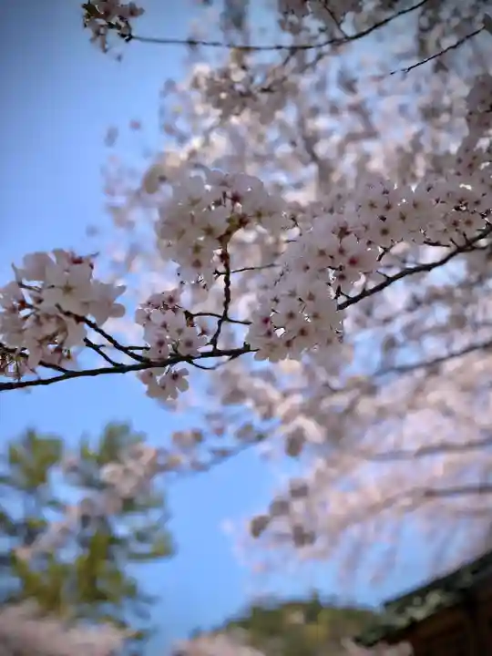 出雲大社(島根県)