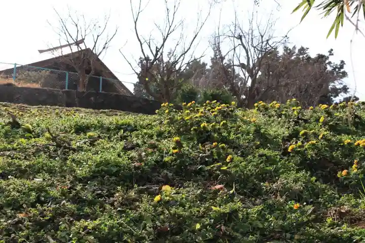 正観音堂の自然