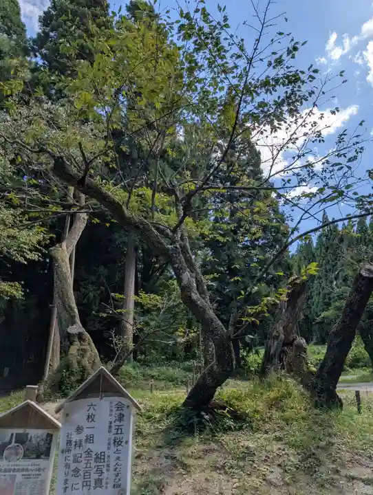磐椅神社(福島県)
