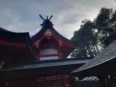 佐久奈度神社(滋賀県)