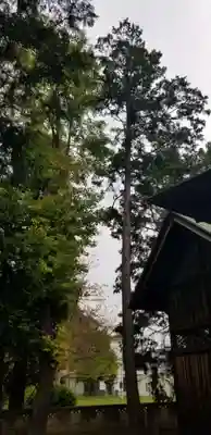 天祖神社のその他建物