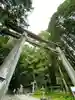 戸隠神社宝光社の鳥居