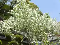 福仙寺(山口県)