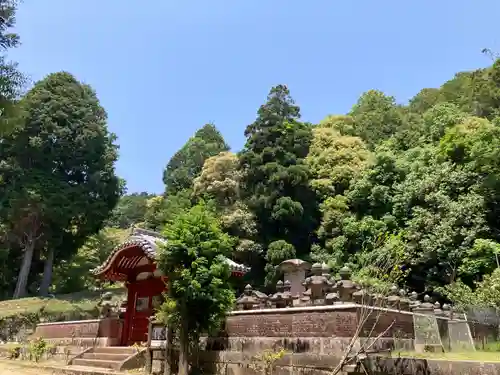 随願寺のお墓