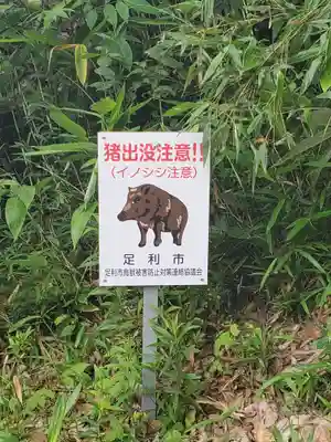 男浅間神社のその他建物