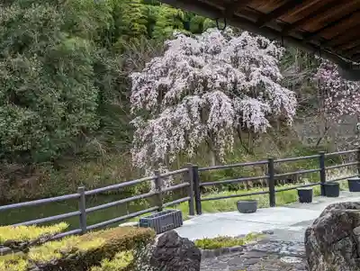 正法寺(京都府)