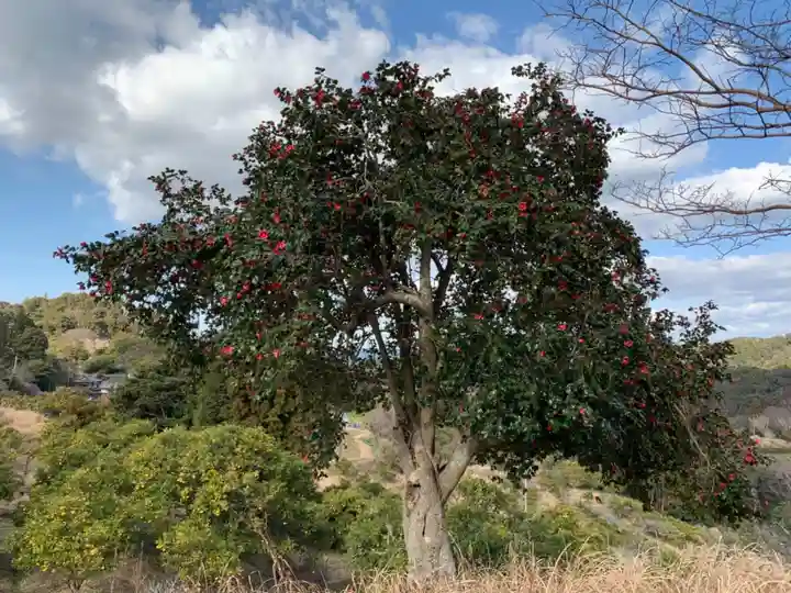 お堂(名称不明)の自然