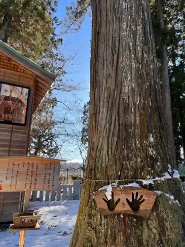熊野神社(岩手県)