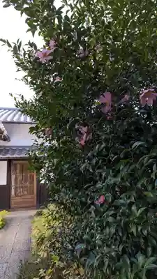 尊陽院(京都府)