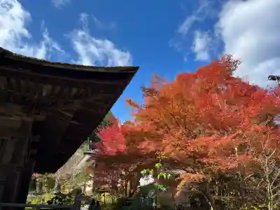 国宝　長寿寺(滋賀県)