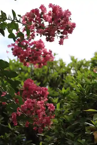 長岳寺(奈良県)