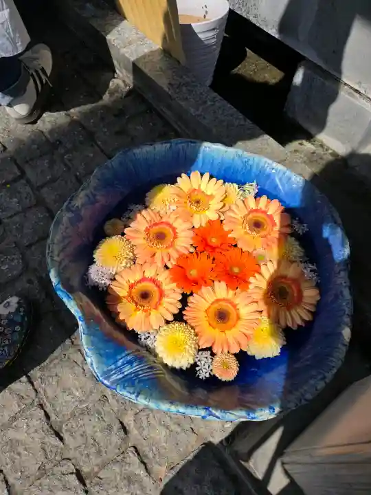 川越八幡宮の{uncategorized: "未分類", other: "その他", undefined: "問題あり", building: "その他建物", grave: "お墓", sacred_gate: "鳥居", guardian: "狛犬", statue: "像", buddha: "仏像", history: "歴史", nature: "自然", garden: "庭園", animal: "動物", pagoda: "塔", temizu: "手水舎", mountain_gate: "山門・神門", sanctuary: "本殿・本堂", subordinate: "末社・摂社", art: "芸術", scenery: "景色", jizo: "地蔵", ema: "絵馬", goshuin: "御朱印", omikuji: "おみくじ", items: "授与品その他", amulet: "お守り", goshuincho: "御朱印帳", eats: "食事", festival: "お祭り", votive_dance: "神楽", shichigosan: "七五三参", wedding: "結婚式", experience: "体験その他", initially: "初詣", around: "周辺", anti_infection: "感染症対策"}