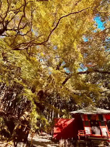 談山神社(奈良県)