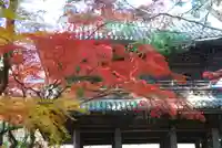 功山寺(山口県)