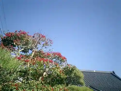 補陀洛寺の自然