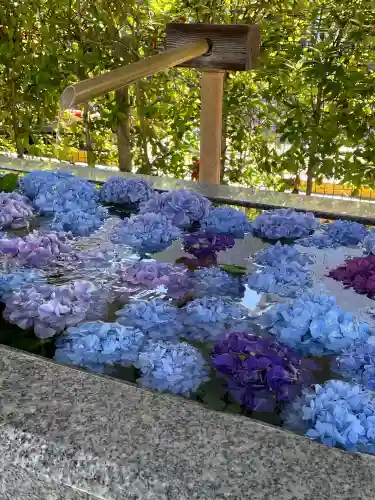 桜神宮(東京都)