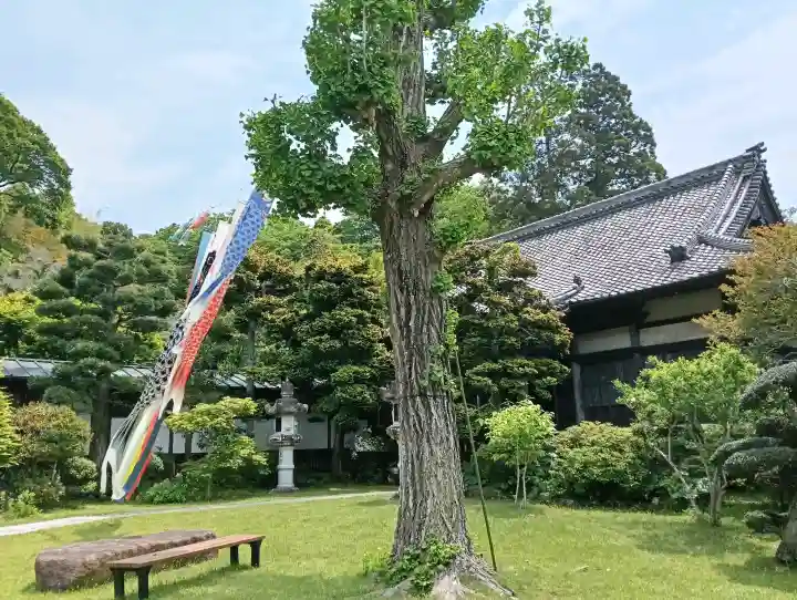 宝金剛寺の{uncategorized: "未分類", other: "その他", undefined: "問題あり", building: "その他建物", grave: "お墓", sacred_gate: "鳥居", guardian: "狛犬", statue: "像", buddha: "仏像", history: "歴史", nature: "自然", garden: "庭園", animal: "動物", pagoda: "塔", temizu: "手水舎", mountain_gate: "山門・神門", sanctuary: "本殿・本堂", subordinate: "末社・摂社", art: "芸術", scenery: "景色", jizo: "地蔵", ema: "絵馬", goshuin: "御朱印", omikuji: "おみくじ", items: "授与品その他", amulet: "お守り", goshuincho: "御朱印帳", eats: "食事", festival: "お祭り", votive_dance: "神楽", shichigosan: "七五三参", wedding: "結婚式", experience: "体験その他", initially: "初詣", around: "周辺", anti_infection: "感染症対策"}