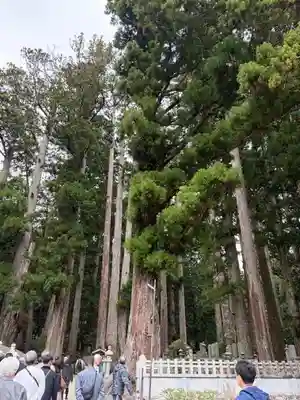 高野山金剛峯寺奥の院(和歌山県)