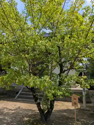 大元 宗忠神社(岡山県)