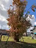 東照宮(青森県)