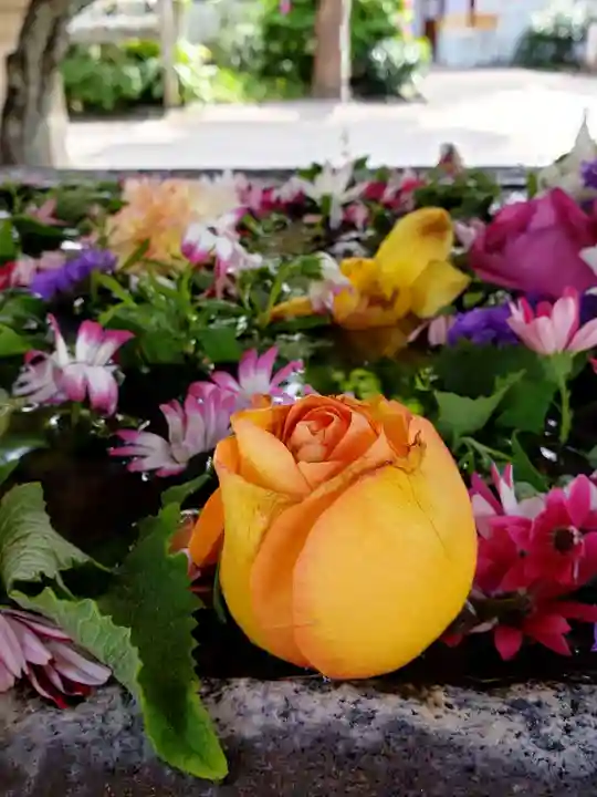 鳩森八幡神社(東京都)