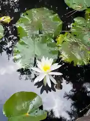 喜光寺(奈良県)