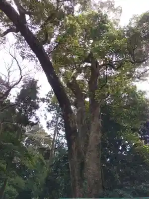 久能山東照宮(静岡県)