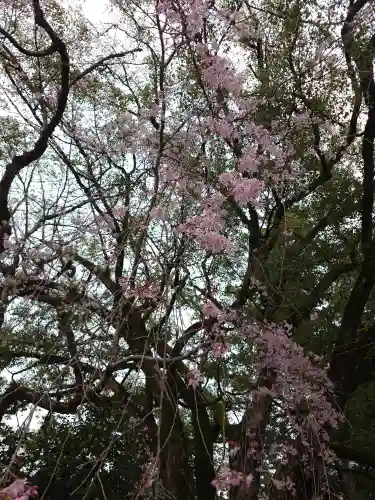 熊野本宮大社(和歌山県)