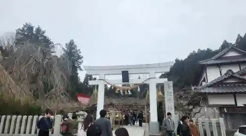 金蛇水神社の鳥居